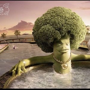 Meet your Posher, Cesar